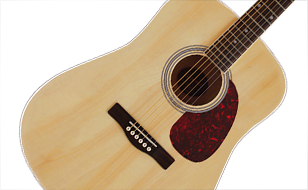Acoustic Guitar Strings