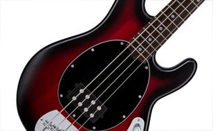 Bass Guitars