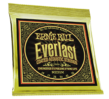 Ernie Ball Everlast Acoustic