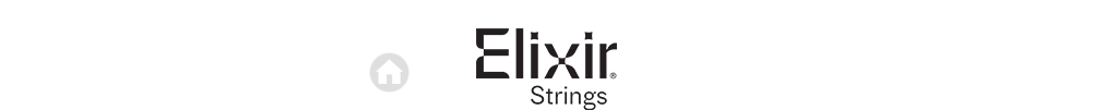 Elixir Strings