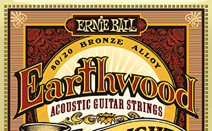 Ernie Ball Acoustic Guitar Strings