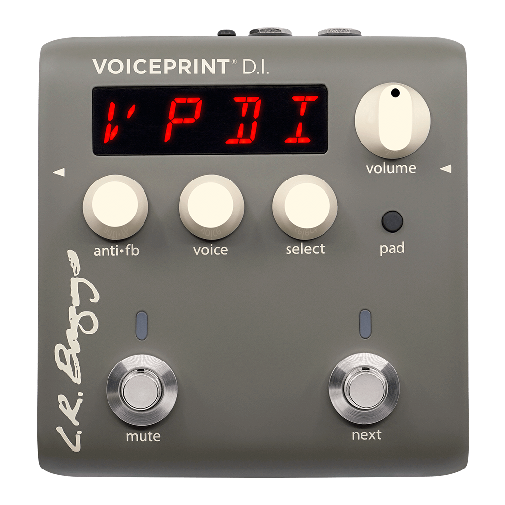 VOICEPRINTDI_1.png