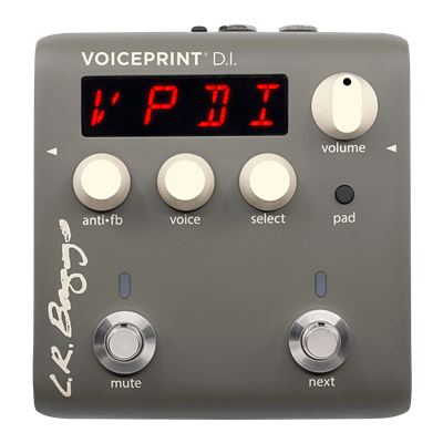 VOICEPRINTDI_1.png